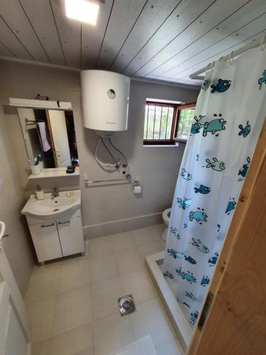 阿然德洛维克Vajat Orašac的浴室配有淋浴帘和盥洗盆。