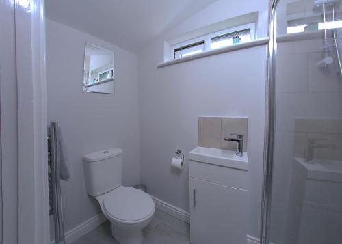 克兰The Cabin @ Willowmere (Garden Log Cabin)的白色的浴室设有卫生间和水槽。