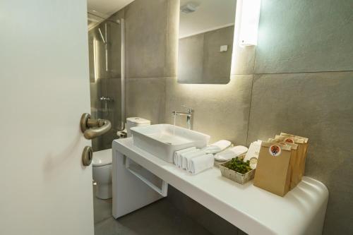 伊兹拉Livin Hydra Private Collection Suite 3的白色的浴室设有水槽和镜子
