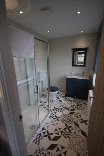 巴姆博格桑宁代尔酒店的带淋浴和卫生间的浴室