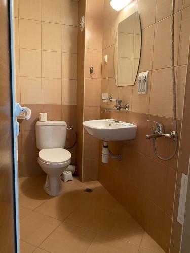 内塞伯尔Hotel Kamenec Budget的一间带卫生间、水槽和镜子的浴室
