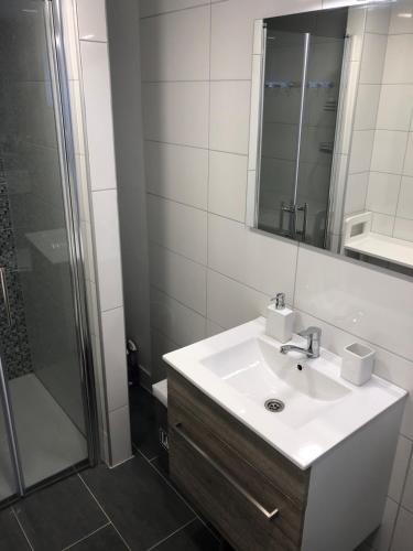 皮罗瓦茨Mobile Home Relax的浴室配有盥洗盆和带镜子的淋浴