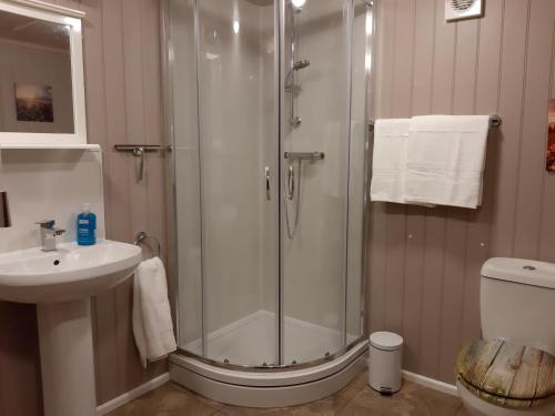 奇德尔Wyldwood Lodge的带淋浴和盥洗盆的浴室