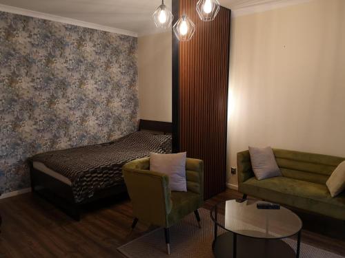 琴斯托霍瓦Apartament Złoty w Centrum Miasta的客厅配有沙发和1张床