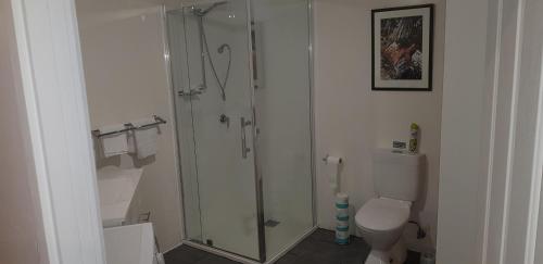 Alonnah布鲁尼岛假日探索公寓的带淋浴和卫生间的浴室