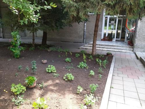 大特尔诺沃罗斯查酒店的一座花园,在一座建筑前方,种植了植物和树木