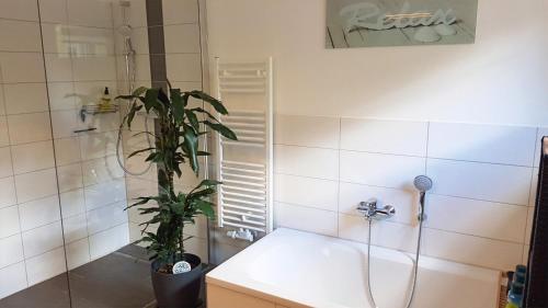 科特布斯Andrés Ferienwohnung的带淋浴和植物的浴室