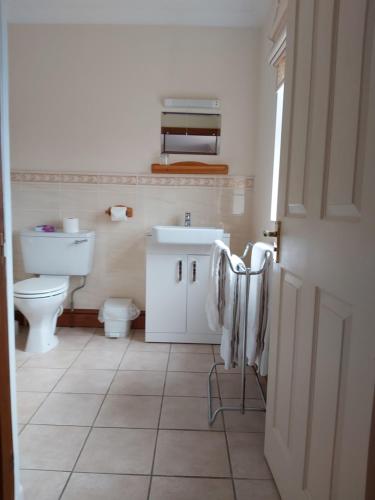 纽马基特拜耶尔雷别墅酒店的一间带水槽和卫生间的浴室