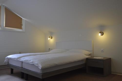 比亚斯卡Albergo Svizzero的卧室配有一张床,墙上有两盏灯