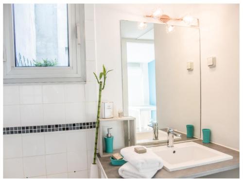 阿维尼翁Aventure Avignonnaise - ROOFTOP TERRASSE - INTRAMUROS - CITY CENTER的白色的浴室设有水槽和镜子