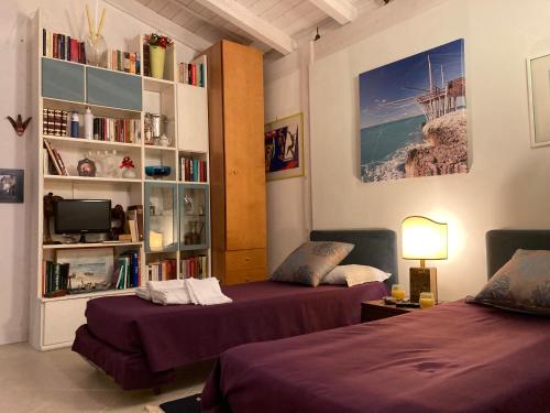 维耶斯泰Dreaming Penthouse的一间设有两张床和书架的房间