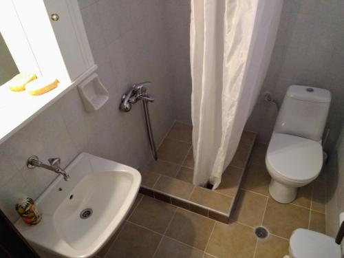 阿卡尼斯奥瑞斯蒂别墅公寓的浴室配有白色卫生间和盥洗盆。