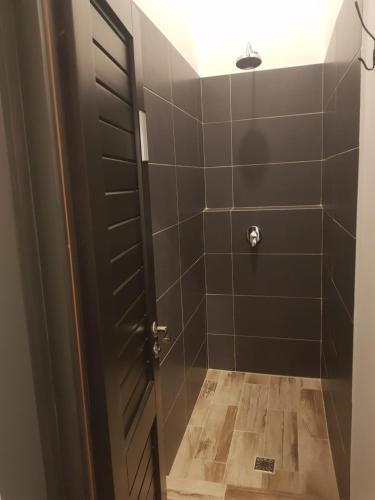 皮亚特拉-尼亚姆茨卡萨德鲁每图雷旅馆的带淋浴的浴室和黑色门