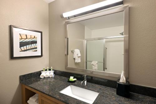 弗雷则弗雷则冬日公园区智选假日套房酒店的一间带水槽和大镜子的浴室
