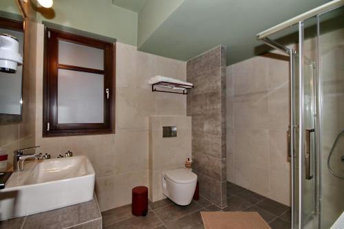 蒂米萨那ΜΠΑΡΟΥΤΟΜΥΛΟΣ -Baroutomilos的一间带水槽、卫生间和淋浴的浴室