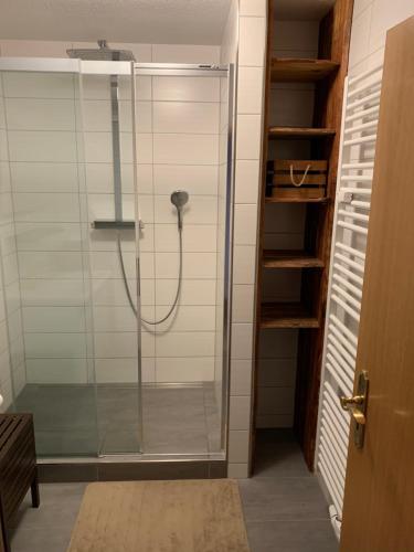 包岑Apartment 2 Große Brüdergasse的浴室里设有玻璃门淋浴