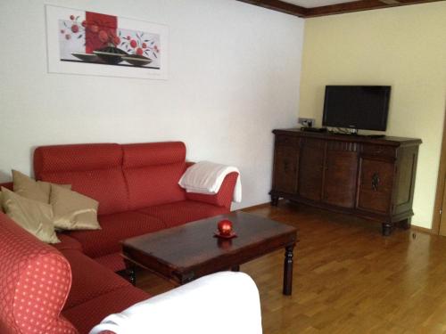 巴德米滕多夫豪斯朱尔温泉酒店的客厅配有红色沙发和电视
