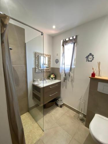 孔卡Hotel gite d'etape San Pasquale的带淋浴、盥洗盆和卫生间的浴室