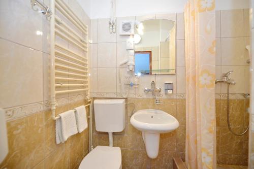 科托尔Pana-Eustahije 253的一间带卫生间、水槽和镜子的浴室