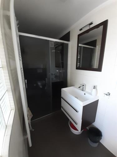 伏尔塔瓦河畔赫卢博卡阿德拉公寓的带淋浴和盥洗盆的白色浴室