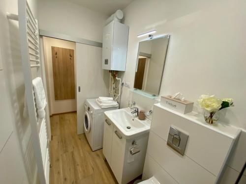 玛丽亚温泉Ella Appartement的白色的浴室设有水槽和洗衣机。