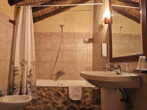 艾纳Alojamiento Rural Casa Honda的浴室配有水槽和带浴缸的淋浴