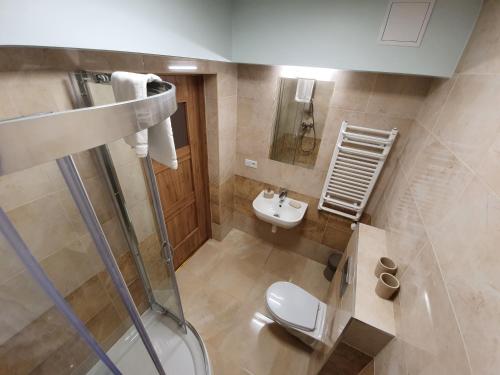 扎科帕内Pokoje Gościnne Zakopane的浴室配有卫生间、淋浴和盥洗盆。