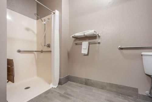 奥马哈Quality Inn & Suites West Omaha - NE Linclon的带淋浴和卫生间的浴室