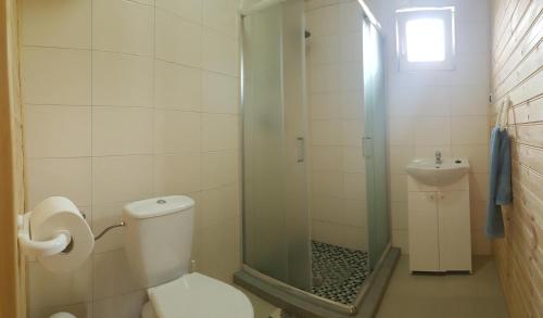 里沃Willa Aleksander的浴室配有卫生间、淋浴和盥洗盆。