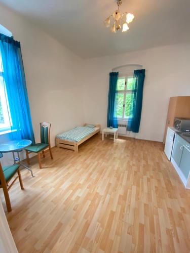 赫任斯科Penzion Hřensko的客厅铺有木地板,配有蓝色窗帘