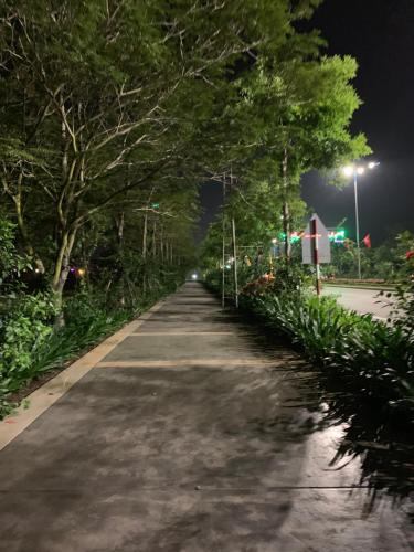 下龙湾SUNDAY PREMIUM APARTMENT的一条长长的绿树成荫的夜间路灯