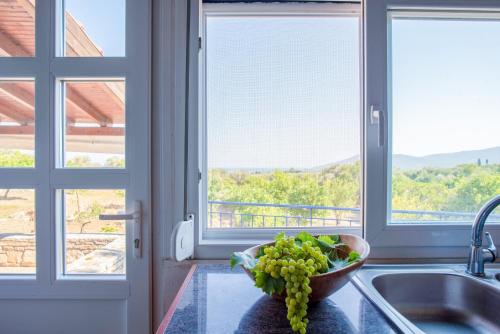 萨摩斯Holiday house with sea view and private garden的厨房在柜台上放一碗葡萄