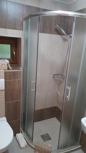 巴德霍夫斯基库佩莱Penzión Zunama的浴室里设有玻璃门淋浴