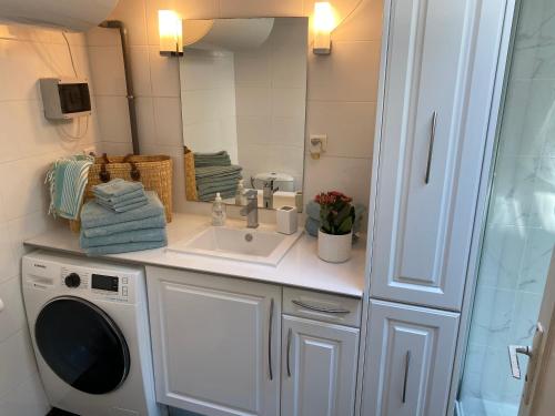 昂蒂布Bijou Apartment in Safranier - Old Town Antibes的一间带水槽和洗衣机的浴室