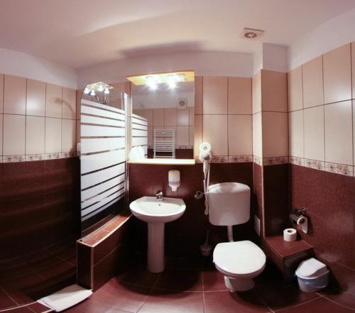 Bradu凡塔尼塔海度库酒店的一间带卫生间、水槽和镜子的浴室