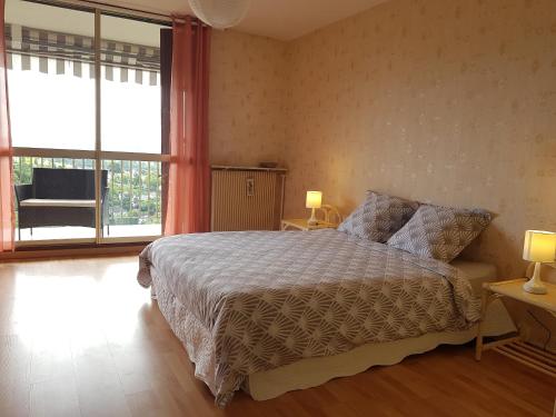 蒙特里夏尔Appartement Touraine Vue sur la Vallée du Cher的一间卧室设有一张床和一个大窗户