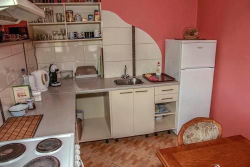 帕维洛斯塔Pie Pifa的一间带水槽和冰箱的小厨房
