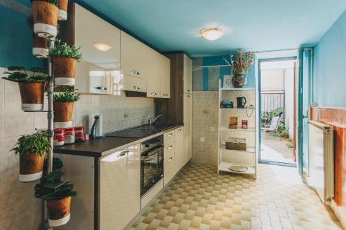 科佩尔House365的厨房配有水槽和植物台面
