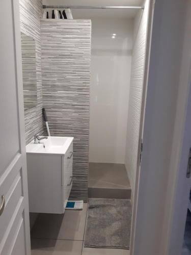 JonageT2 courte durée的浴室配有白色水槽和淋浴。