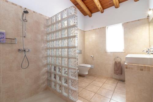 贝纳吉Villa Diane Luxury Cottage Ocean views pool的带淋浴、卫生间和盥洗盆的浴室