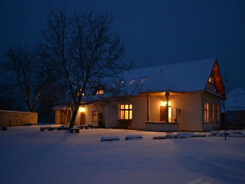 艾尔德贝涅途燕旅馆的夜晚在雪中点亮的房子