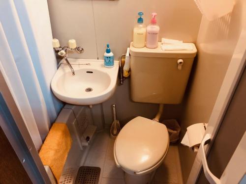 京都Nishijin IVY 5 persons room的一间带卫生间和水槽的小浴室