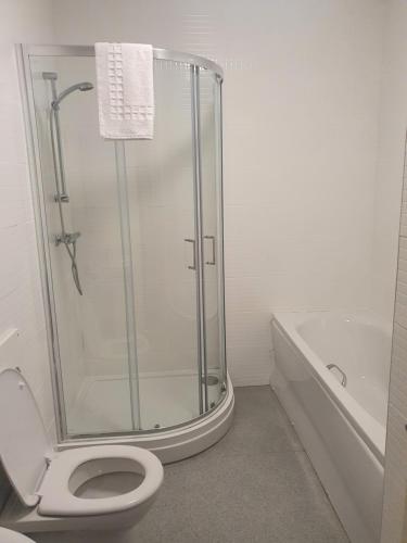 Minworth墨鱼桥酒店 - NEC /伯明翰机场 的带淋浴、卫生间和浴缸的浴室