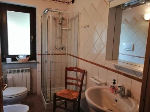 Doues多博梅格纳佐豪宅酒店的一间带水槽、淋浴和卫生间的浴室