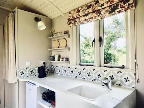 ColkirkThe Oaks Glamping - Jasper's Shepherds Hut的厨房设有水槽和窗户。