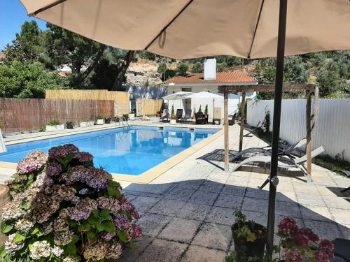 卡纳斯·德·塞尤里Pantanha Studio by Trip2Portugal的一个带遮阳伞和一些鲜花的游泳池