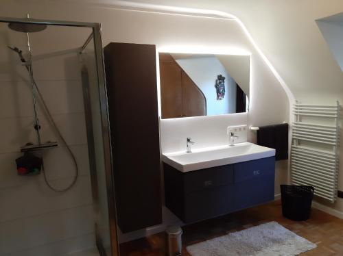 德塞尔Den Donkman的一间带水槽和镜子的浴室