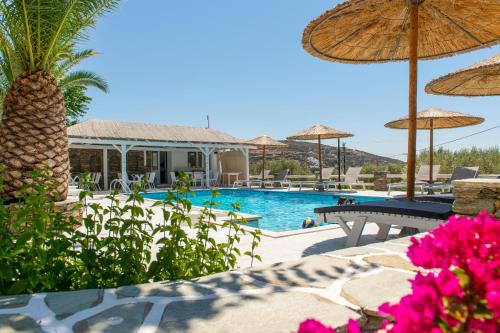普拉提伊亚洛斯西弗诺斯伊里尼公寓式酒店的一个带遮阳伞和鲜花的游泳池的度假酒店
