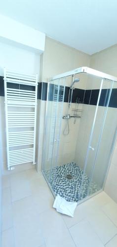 奥斯赛拜-屈隆斯博恩Pension Zum Riedensee的浴室内带玻璃淋浴间