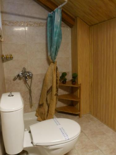 米里纳D&K Studio的浴室配有白色卫生间和淋浴。